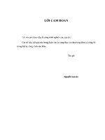 Luận văn hoàn thiện hoạt Động quản trị chuỗi cung ứng ngành hàng nhựa bao bì của công ty cổ phần sản xuất z01