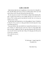 Luận văn một số giải pháp hoàn thiện hệ thống quản lý tích hợp tại công ty cổ phần bao bì nhựa tân tiến z01