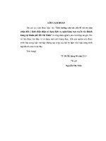 Luận văn Ảnh hưởng của các yếu tố rủi ro cảm nhận Đến Ý Định chấp nhận sử dụng dịch vụ ngân hàng trực tuyến z01