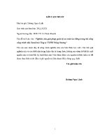 Luận văn nghiên cứu giải pháp quản lý an toàn lao Động trong thi công công trình nhà zamil tại công ty trách nhiệm hữu hạn Đông dương