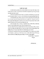Luận văn nghiên cứu xử lý các sự cố nền Đất trong quá trình thi công hố móng