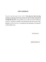 Luận Văn Giải Pháp Hoàn Thiện Hoạt Động Marketing Tại Ngân Hàng Tmcp Ngoại Thương Việt Nam Z01.Pdf