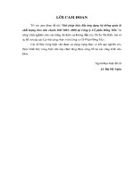 Luận văn giải pháp thúc Đẩy ứng dụng hệ thống quản lý chất lượng theo tiêu chuẩn iso 9001 2008 z01