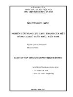 Nghiên cứu năng lực cạnh tranh của mặt hàng cá ngừ xuất khẩu Việt Nam