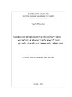 Nghiên cứu tuyển chọn và ứng dụng vi sinh vật để xử lý tồn dư thuốc bảo vệ thực vật gốc Lân hữu cơ trong đất trồng chè
