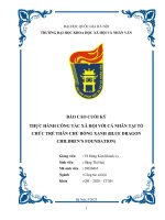 Thực hành công tác xã hội với cá nhân tại tổ chức trẻ thân chủ rồng xanh (blue dragon children’s foundation)