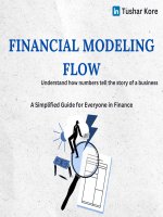 Financial Modelling Simple Guide.pdf