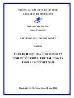 Phân tích hiệu quả kinh doanh và Định hướng chiến lược tại công ty tnhh le long việt nam