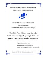 Phân tích thực trạng thực hiện trách nhiệm xã hội (csr) tại công ty Đối tác của công ty tnhh dịch vụ tư vấn quality links