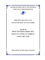 Phân tích hoạt Động bán hàng của công ty tnhh le long việt nam