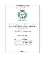 Đánh giá kết quả liền thương của thiết bị súng phun tế bào gốc trên mô hình cắt da Ở chuột cống trắng Đái tháo Đường