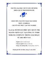 Đánh giá hiệu quả quản trị nguồn nhân lực tại công ty tnhh norang company trong giai Đoạn từ 2021 Đến nay