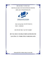 Báo cáo hoạt Động kinh doanh tại công ty tnhh công nghệ hoa sơn