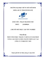 Phân tích thực trạng và Đề xuất giải pháp nâng cao chất lượng nguồn nhân lực tại công ty tnhh mtv ndn