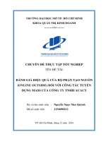 Đánh giá hiệu quả của bộ phận tạo nguồn (online outside) Đối với công tác tuyển dụng mass của công ty tnhh acacy