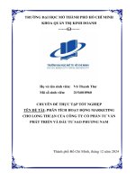 Phân tích hoạt Động marketing cho long thuận của công ty cổ phần tư vấn phát triển và Đầu tư sao phương nam