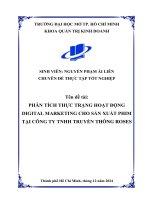 Phân tích thực trạng hoạt Động digital marketing cho sản xuất phim tại công ty tnhh truyền thông roses