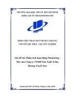 Phân tích hoạt Động marketing   mix của công ty tnhh sản xuất trầm hương tuyết sơn