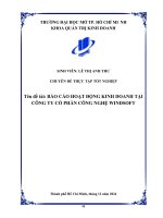 Báo cáo hoạt Động kinh doanh tại công ty cổ phần công nghệ windsoft