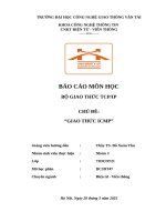 Báo cáo môn học bộ giao thức tcpip chủ Đề giao thức icmp