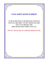 Skkn sử dụng bộ công cụ Để kiểm tra, Đánh giá năng lực Đọc hiểu văn bản trong dạy học ngữ văn 10 (bộ kết nối) theo hướng phát triển năng lực
