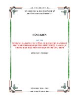 Skkn sử dụng Đa dạng các công cụ kiểm tra Đánh giá học sinh theo Định hướng phát triển năng lực trong dạy học môn tin học Ở trường thpt