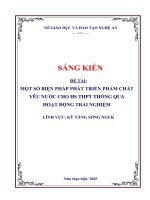 Skkn một số biện pháp phát triển phẩm chất yêu nước cho hs thpt thông qua hoạt Động trải nghiệm