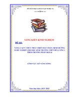 Skkn nâng cao Ý thức phát triển bản thân, Định hướng nghề nghiệp cho học sinh trường thpt Đô lương 1 theo phương pháp ikigai