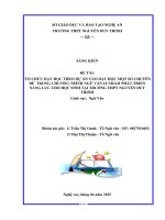 Skkn tổ chức dạy học theo dự Án vào dạy học một số chuyên Đề trong chương trình ngữ văn 10 nhằm phát triển năng lực cho học sinh tại trường thpt nguyễn duy trinh
