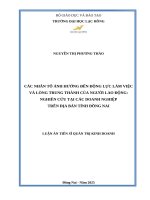 Các nhân tố ảnh hưởng đến động lực làm việc và lòng trung thành của người lao động: nghiên cứu tại các doanh nghiệp trên địa bàn tỉnh Đồng Nai