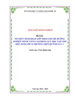 Skkn tổ chức sinh hoạt lớp theo chủ Đề hướng nghiệp nhằm nâng cao Động lực học tập cho học sinh lớp 10 trường thpt quỳnh lưu 3