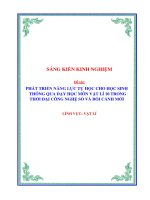 Skkn phát triển năng lực tự học cho học sinh thông qua dạy học môn vật lí 10 trong thời Đại công nghệ số và bối cảnh mới
