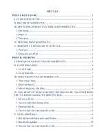 Skkn sử dụng chatgpt hỗ trợ ra Đề thi, tạo test kiểm thử và Đánh giá bài thi môn tin học