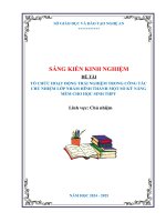 Skkn tổ chức hoạt Động trải nghiệm trong công tác chủ nhiệm lớp nhằm hình thành một số kỹ năng mềm cho học sinh thpt