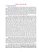 Skkn sử dụng trò chơi trong dạy học phần hoá Đại cương môn hoá học 10 Để tạo hứng thú học tập và phát triển phẩm chất học sinh