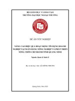 [LUẬN VĂN THẠC SĨ QUẢN LÝ KINH TẾ] NÂNG CAO HIỆU QUẢ HOẠT ĐỘNG TÍN DỤNG DOANH NGHIỆP TẠI NGÂN HÀNG NÔNG NGHIỆP VÀ PHÁT TRIỂN NÔNG THÔN CHI NHÁNH TỈNH QUẢNG NINH