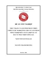 [LUẬN VĂN THẠC SĨ QUẢN LÝ KINH TẾ] Thực trạng và giải pháp hoàn thiện chiến lược Marketing cho các sản phẩm nông nghiệp hữu cơ của Hợp tác xã đầu tư phát triển Sông Giá