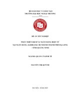 [LUẬN VĂN THẠC SĨ QUẢN LÝ KINH TẾ] Phát triển dịch vụ Ngân hàng điện tử tại Ngân hàng Agribank thành phố Hạ Long, Quảng Ninh