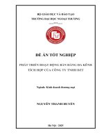 [LUẬN VĂN THẠC SĨ QUẢN LÝ KINH TẾ] Phát triển hoạt động bán hàng đa kênh tích hợp của công ty TNHH DZT