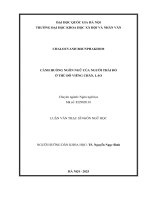 Cảnh huống ngôn ngữ của người thái Đỏ Ở thủ Đô viêng chăn, lào tomtat