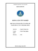 Hiệu quả sử dụng Đất của nông hộ tại huyện cư jút, tỉnh Đắk nông