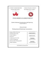 The Importance Of Marketing Communication.pdf