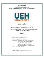 Tiểu luận môn hệ thống thông tin kế toán chu trình doanh thu của công ty tnhh kiểm toán tư vấn ifa