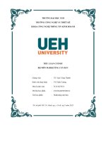 Tiểu Luận Cuối Kì.pdf