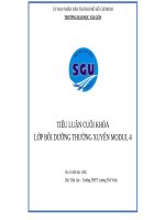 Tiểu luận cuối khóa lớp bồi dưỡng thường xuyên modul 4