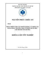 Phát triển cho vay khách hàng cá nhân tại ngân hàng thương mại cổ phẩn quân Đội   chi nhánh tân hương