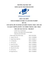 Xây dựng Đề Án Đánh giá hiện trạng thực thi csr và gợi Ý những bước cải thiện trong việc thực thi csr tại colusa   miliket