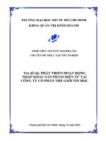 Phát triển hoạt Động nhập khẩu sản phẩm Điện tử tại công ty cổ phần thế giới tin học
