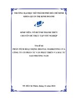 Phân tích hoạt Động digital marketing của công ty cổ phần tư vấn phát triển và Đầu tư sao phương nam