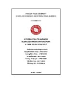 Introduction to business business introduction report a case study of nestlé